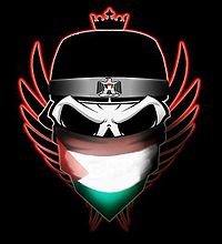 Palestine hacker.jpg
